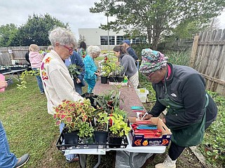 Customers wait in line to buy plants at the Master Gardener plant sale April 19 at the Pulaski County Master Gardeners Greenhouse at 7th and Palm streets in Little Rock. (Special to The Commercial/University of Arkansas System Division of Agriculture)